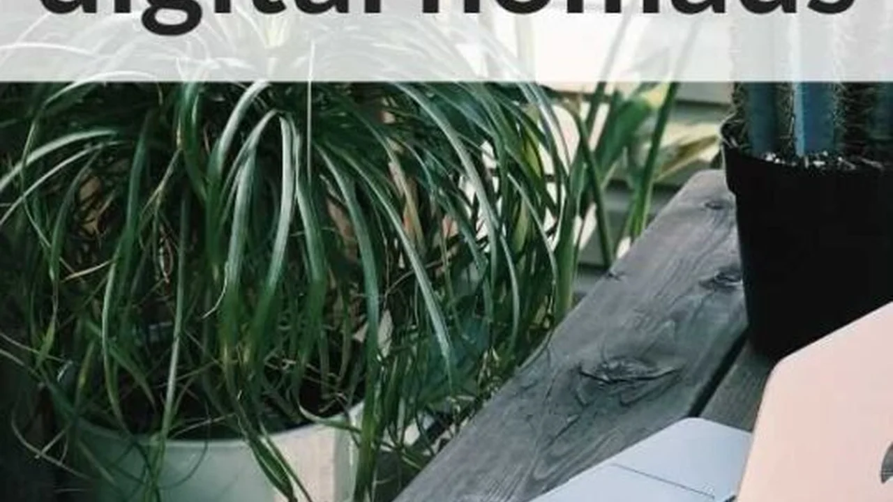 Chef John's Irish Soda Bread